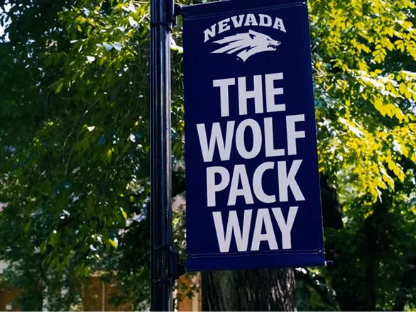 A Wolf Pack Way banner hangs on a light pole on the University of Nevada, Reno Quad.